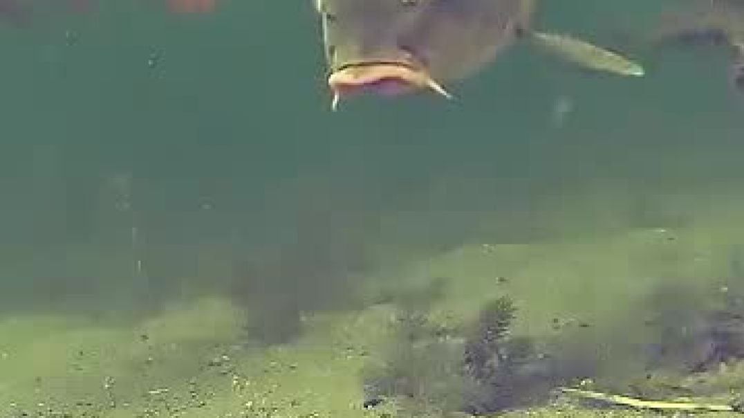 So close(360P)