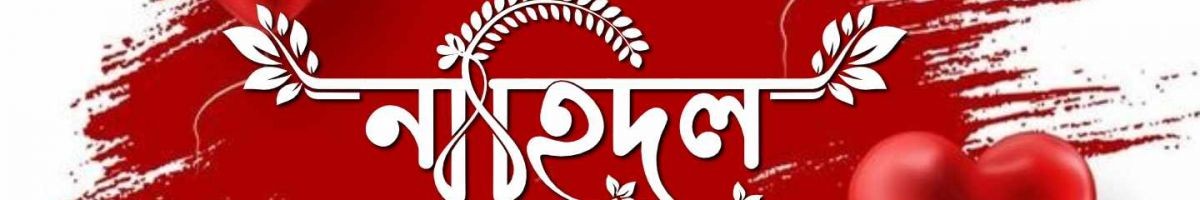 Nahidul Islam