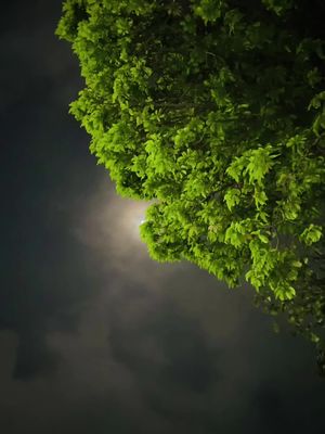 ⁣প্রকৃতি ভালোবাসি