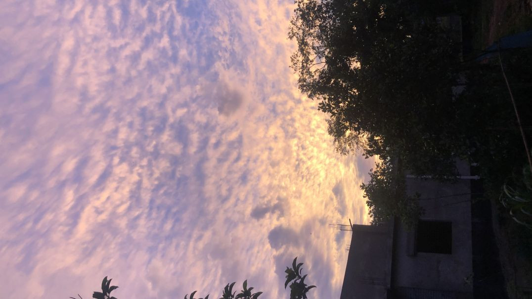 ⁣Beautiful Nature Video❤️🌼