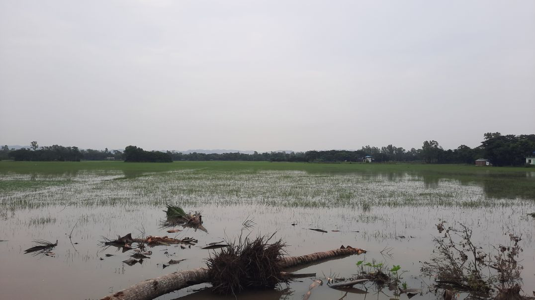 Village natural view
