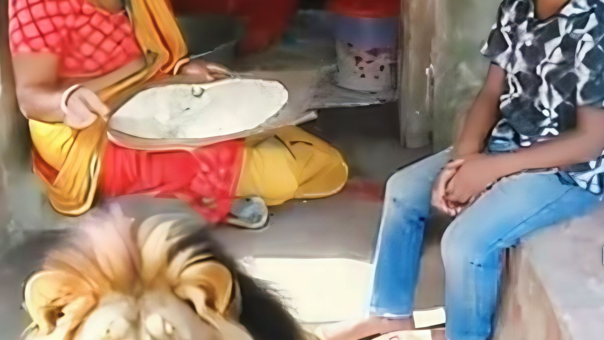সিংহের সাথে দেখা করলাম #deblol