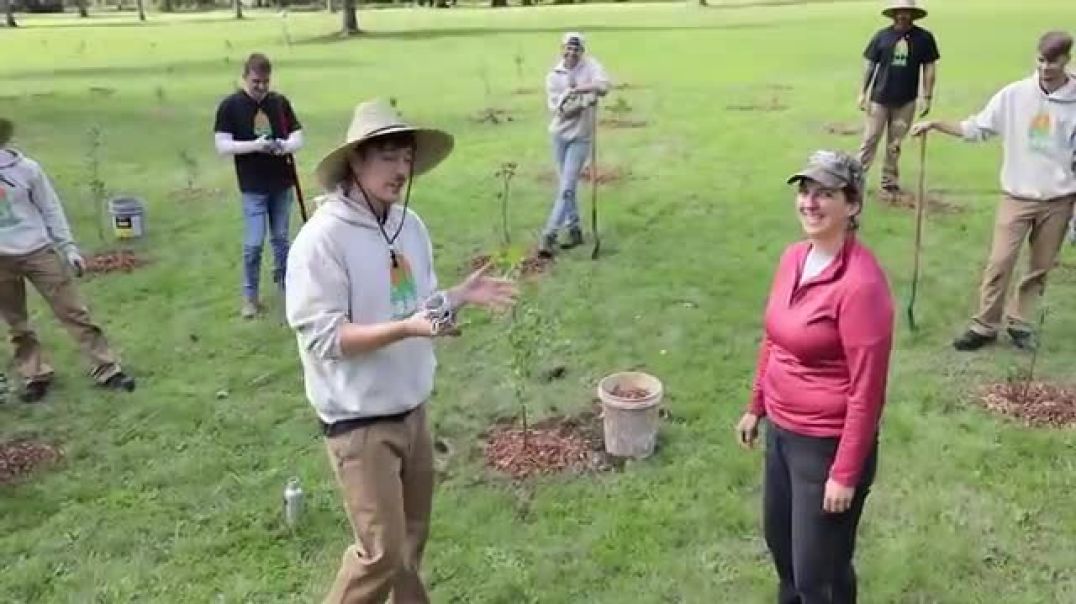 ⁣Planting 20,000,000 Trees, My Biggest Project Ever