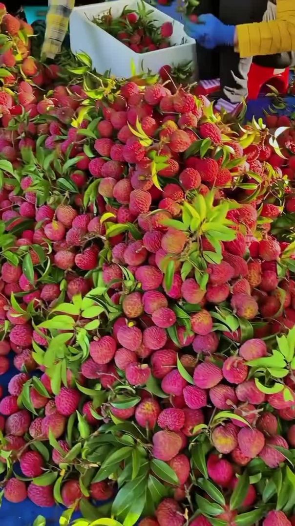 Beautiful fruit 🍍🍎🍓🍇