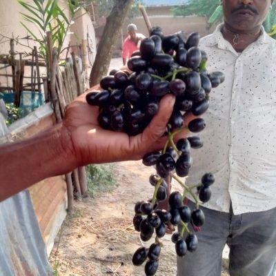 Rajkumar Munda