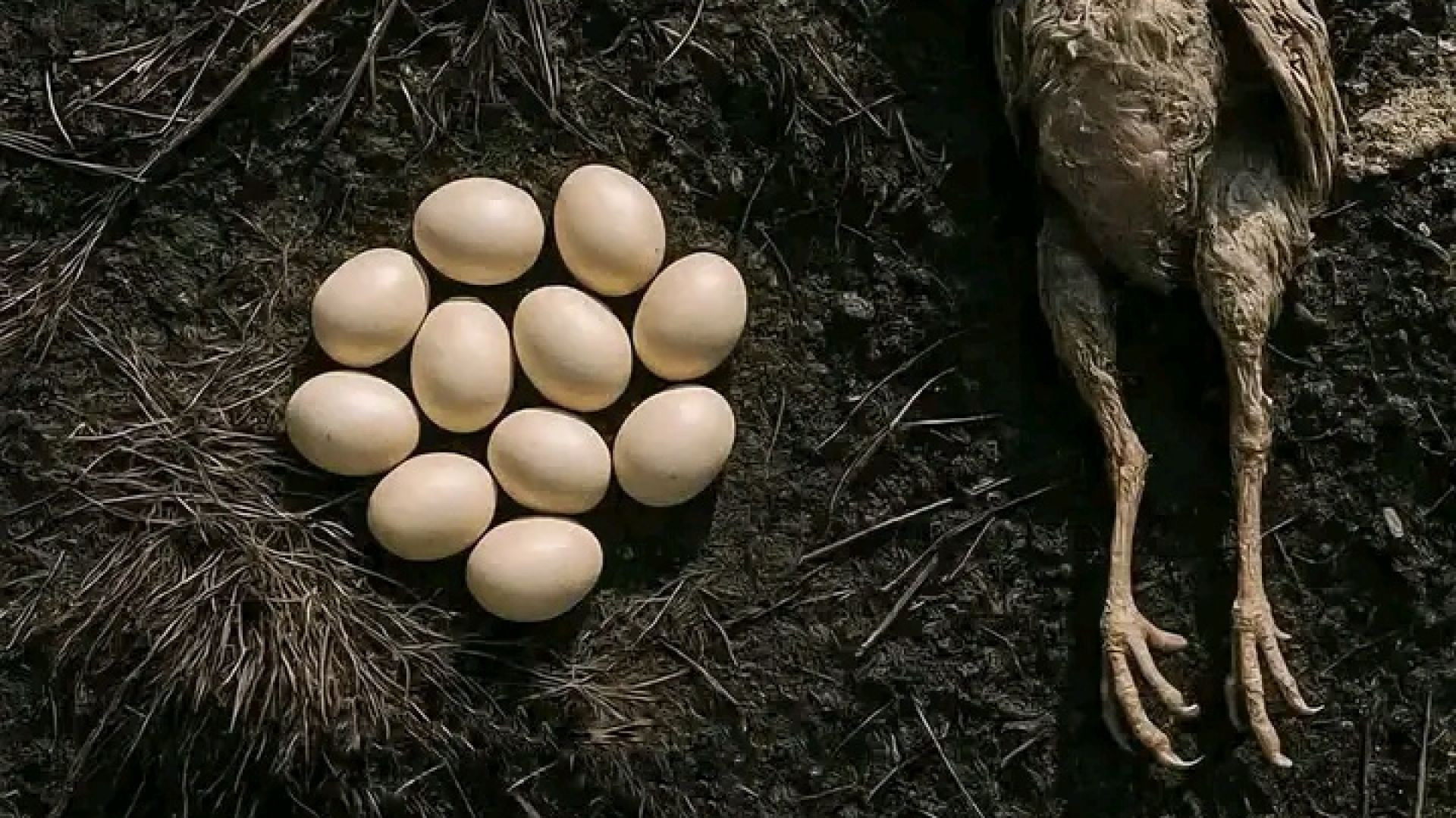 টাইমলাইনে রেখে দিলাম যাতে দুনিয়াবি সব ইচ্ছে মরে যায়,,,আস্তাগফিরুল্লাহ😥😭  দৃশ্যটি অভিনীত হলেও পবিত্র 