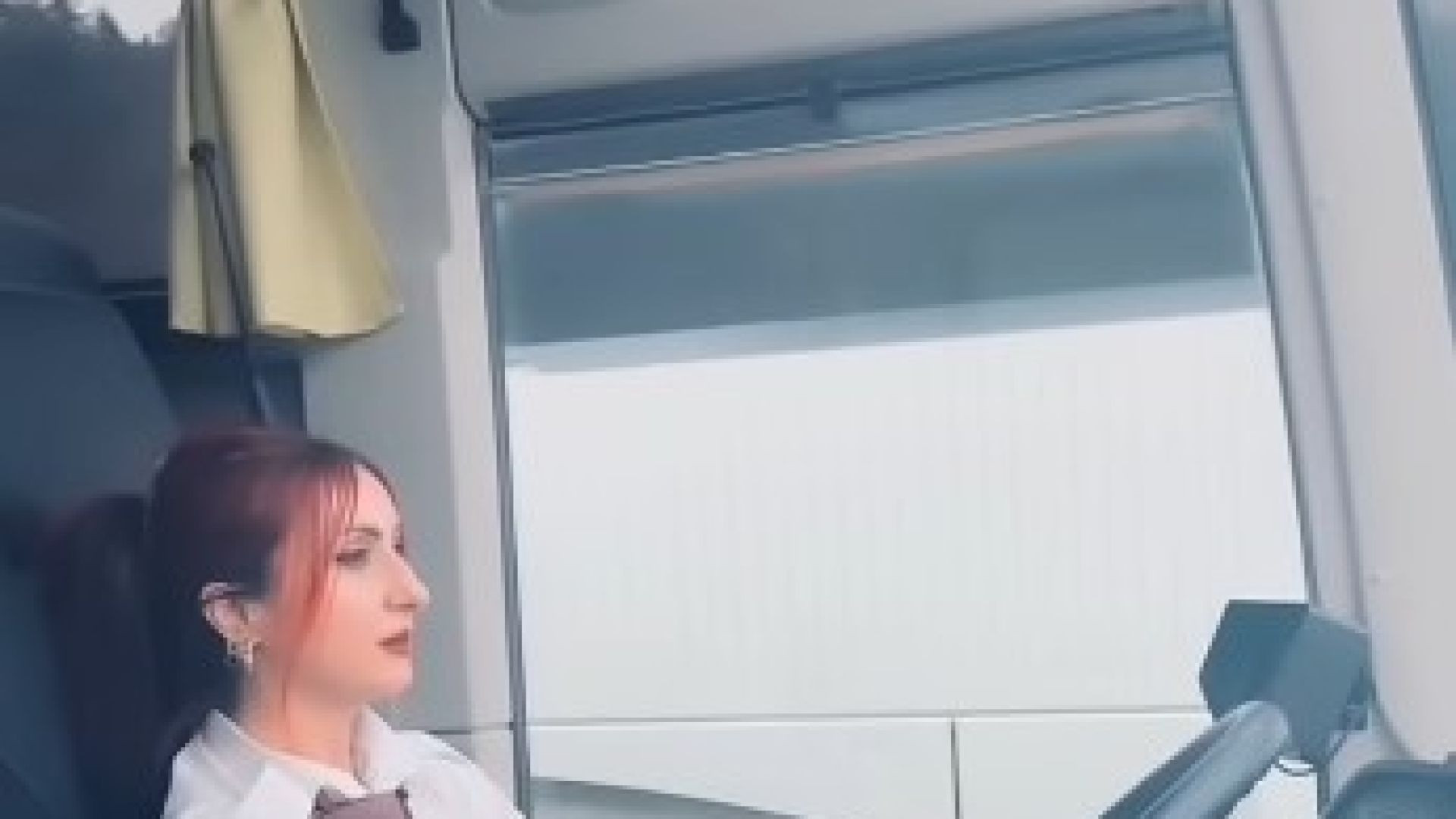 ⁣beautiful lady bus drives